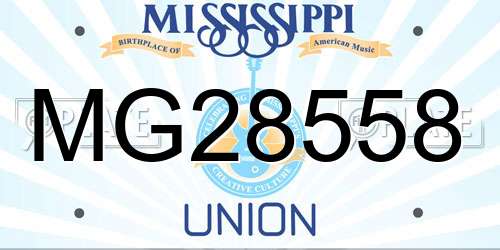 MG28558 Mississippi License Plate