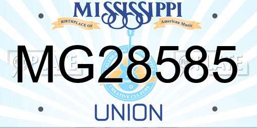 MG28585 Mississippi License Plate