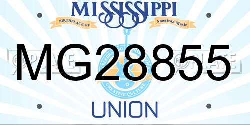MG28855 Mississippi License Plate