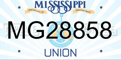 MG28858 Mississippi License Plate