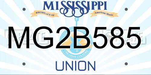 MG2B585 Mississippi License Plate