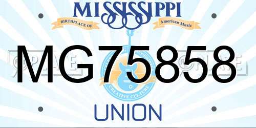 MG75858 Mississippi License Plate