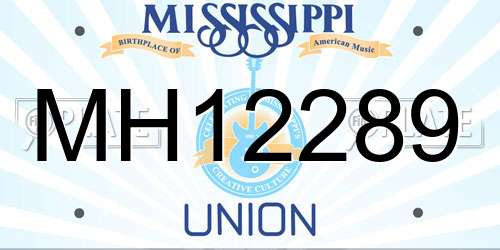 MH12289 Mississippi License Plate