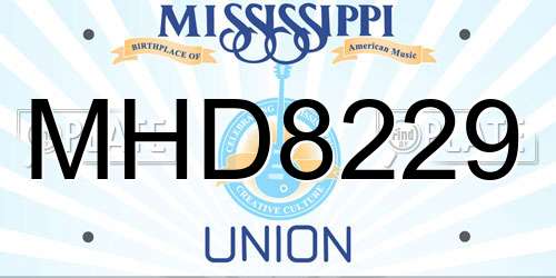 MHD8229 Mississippi License Plate