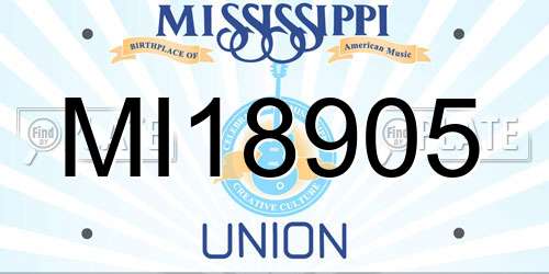 MI18905 Mississippi License Plate