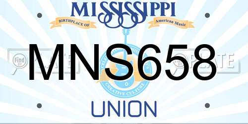 MNS658 Mississippi License Plate