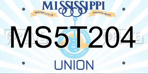 MS5T204 Mississippi License Plate