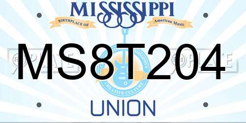 MS8T204 Mississippi License Plate