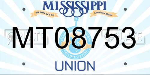 MT08753 Mississippi License Plate