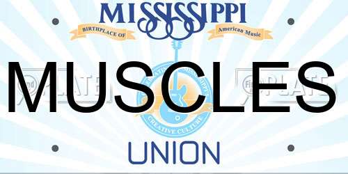 MUSCLES Mississippi License Plate