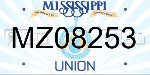 MZ08253 Mississippi License Plate
