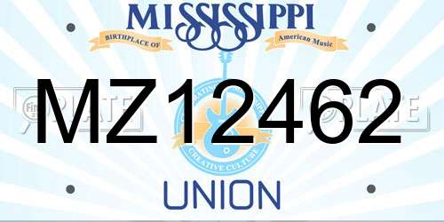MZ12462 Mississippi License Plate