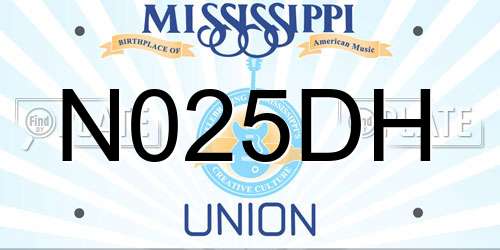 N025DH Mississippi License Plate