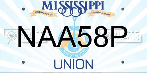 NAA58P Mississippi License Plate