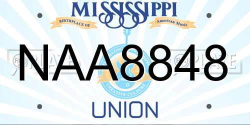 NAA8848 Mississippi License Plate