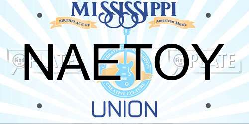 NAETOY Mississippi License Plate