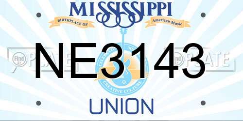 NE3143 Mississippi License Plate