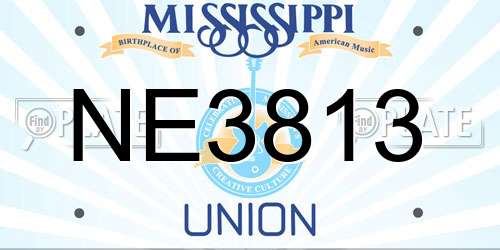 NE3813 Mississippi License Plate