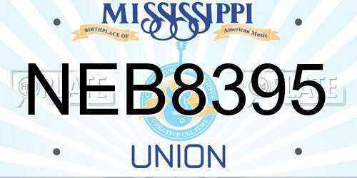 NEB8395 Mississippi License Plate