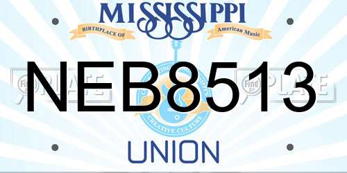 NEB8513 Mississippi License Plate