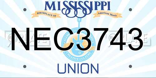 NEC3743 Mississippi License Plate