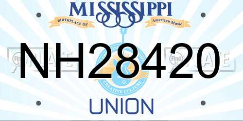 NH28420 Mississippi License Plate