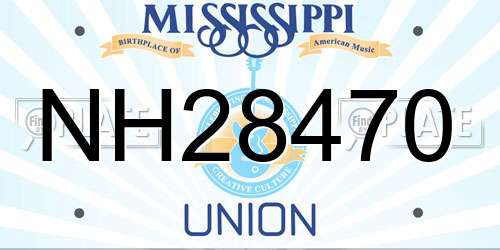 NH28470 Mississippi License Plate