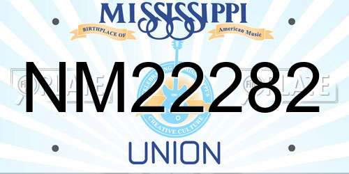 NM22282 Mississippi License Plate