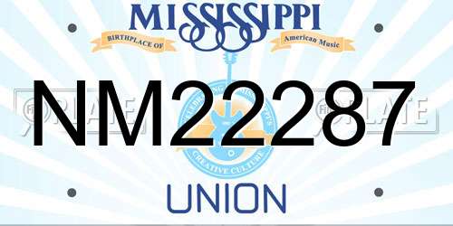 NM22287 Mississippi License Plate