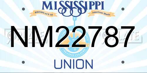 NM22787 Mississippi License Plate