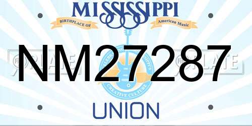 NM27287 Mississippi License Plate