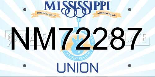 NM72287 Mississippi License Plate