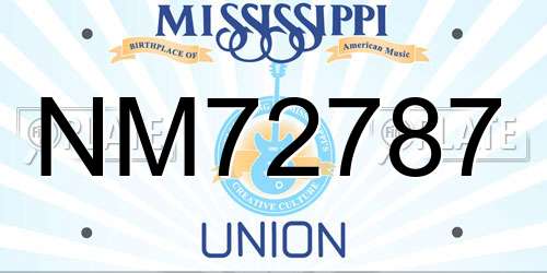 NM72787 Mississippi License Plate