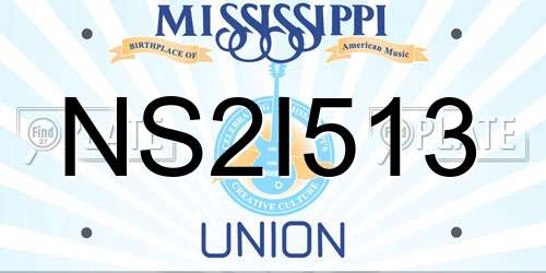 NS2I513 Mississippi License Plate