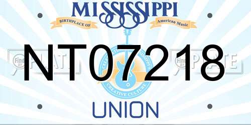 NT07218 Mississippi License Plate