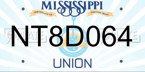 NT8D064 Mississippi License Plate