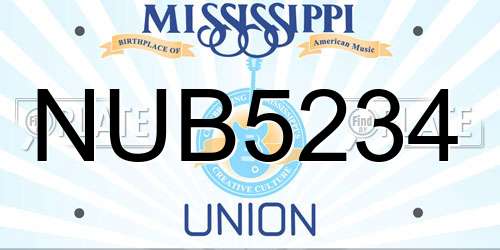NUB5234 Mississippi License Plate