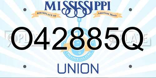 O42885Q Mississippi License Plate