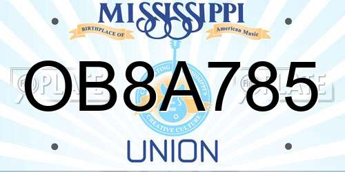OB8A785 Mississippi License Plate
