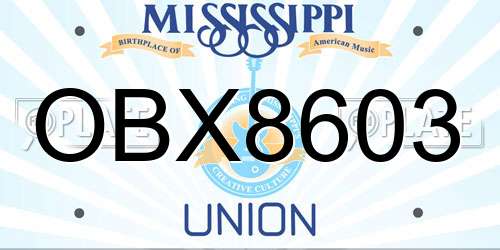 OBX8603 Mississippi License Plate