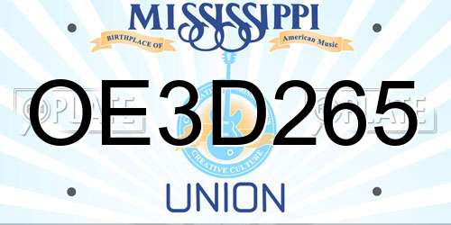 OE3D265 Mississippi License Plate