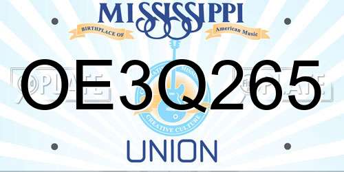 OE3Q265 Mississippi License Plate