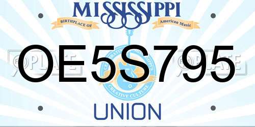 OE5S795 Mississippi License Plate