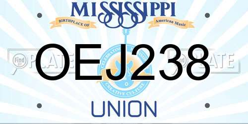 OEJ238 Mississippi License Plate