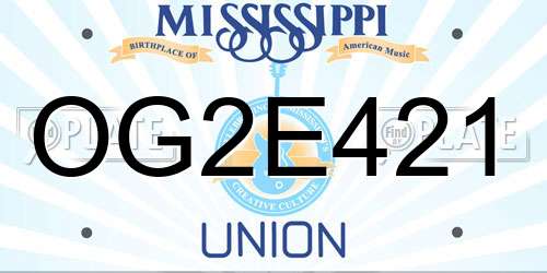 OG2E421 Mississippi License Plate