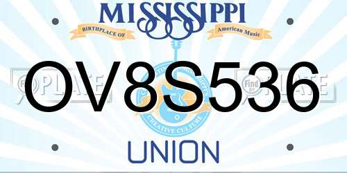 OV8S536 Mississippi License Plate