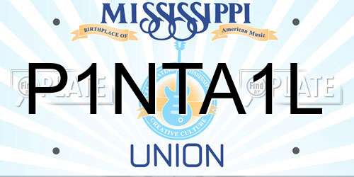 P1NTA1L Mississippi License Plate