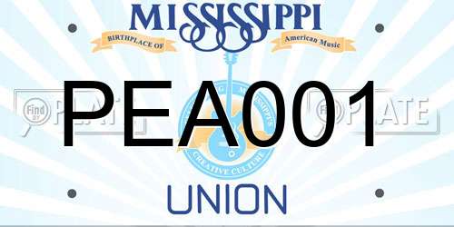 PEA001 Mississippi License Plate