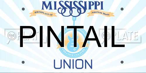 PINTAIL Mississippi License Plate