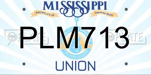 PLM713 Mississippi License Plate
